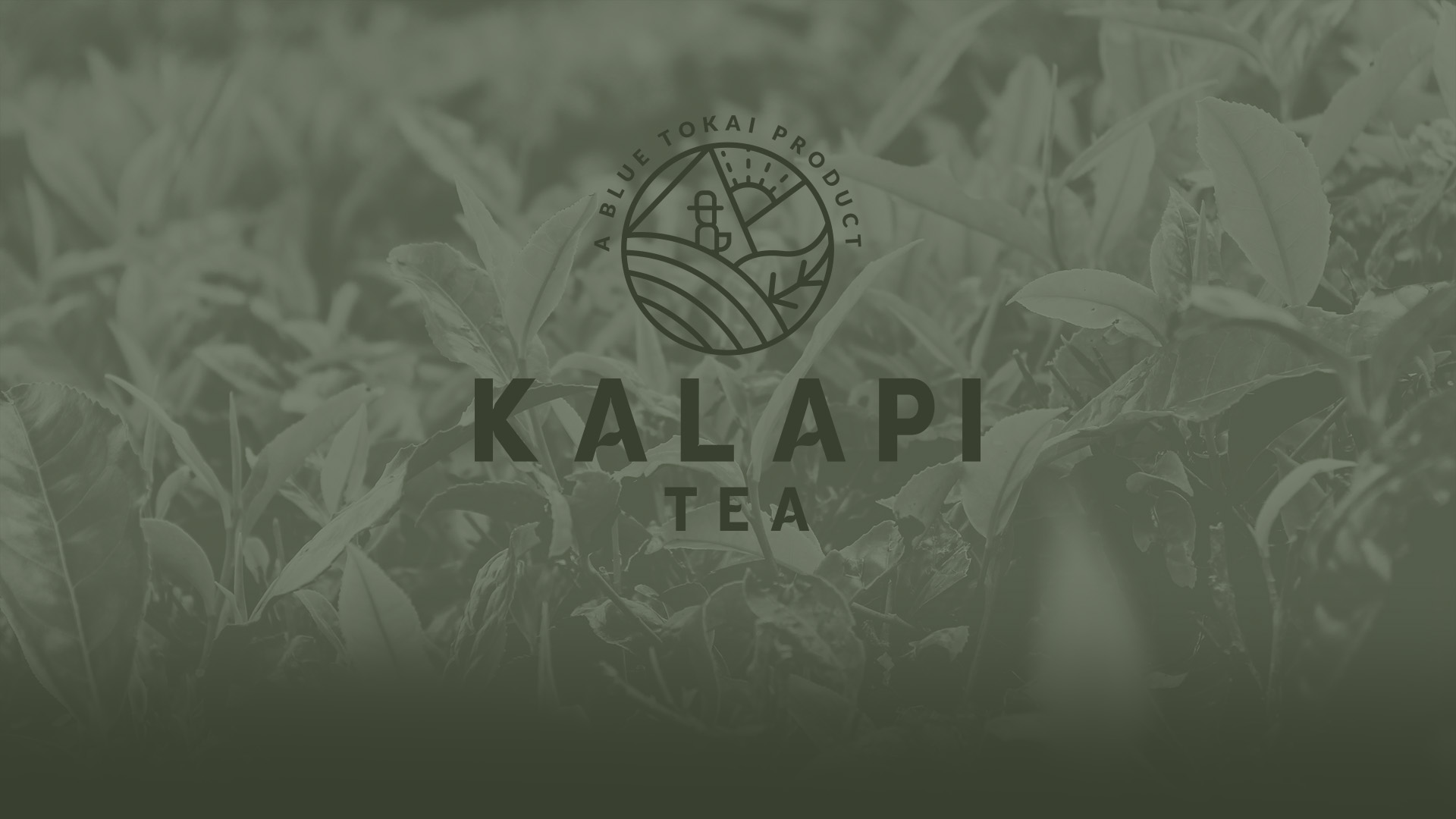 Kalapi